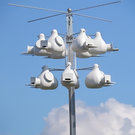 Troyer's K-12 Purple Martin Gourd Rack with Winch