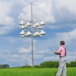 AAA 16 shown with optional  Troyer Vertical Gourds.  This gourd rack raises and lowers via a rope and pulley system. 